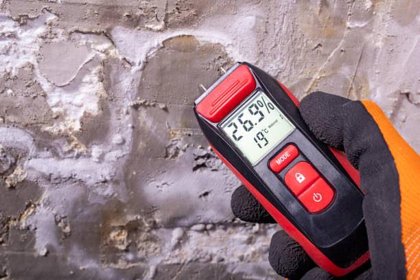 Best Residential Mold Removal  in Northwest Harbor, NY