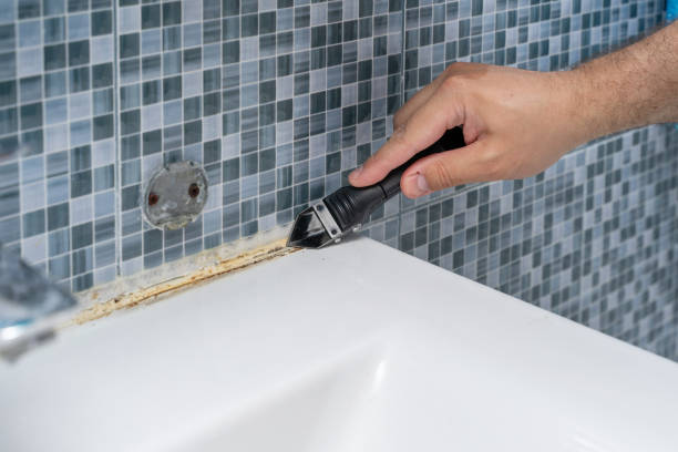 Mold Removal Process in Northwest Harbor, NY